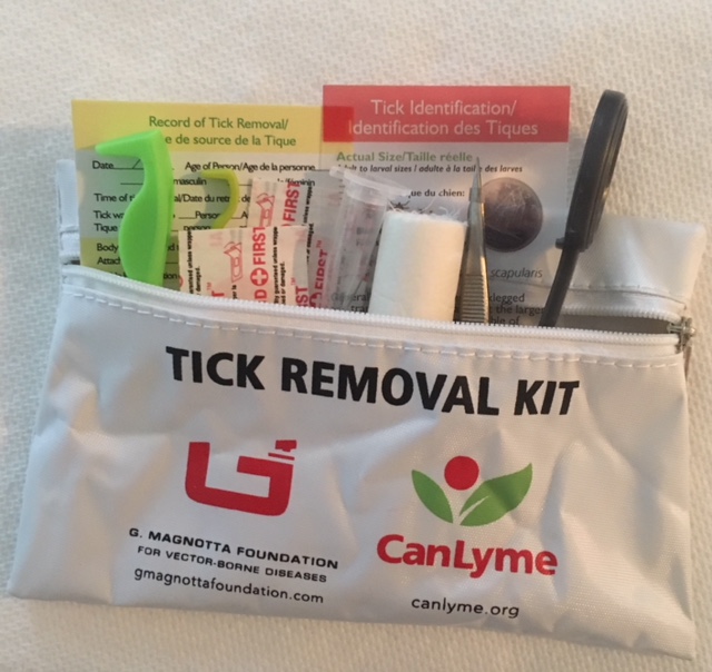 All of the tools in the most fully featured tick removal kit are on display.