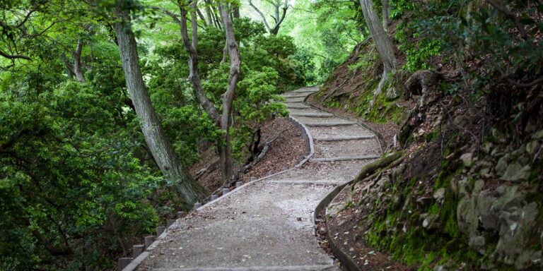 A long, uphill, winding path takes us deeper into the forest. 